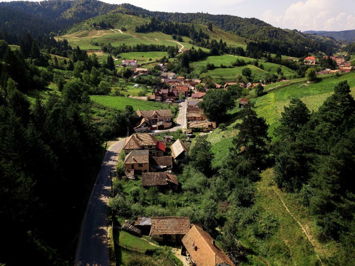 House Of Seasons Villa Bran  Exterior photo